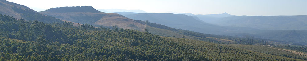 Landscape with mountains in the background