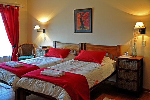 An inside look at one of the beautifully furnished bedrooms at Ekukhanyeni, featuring two single beds