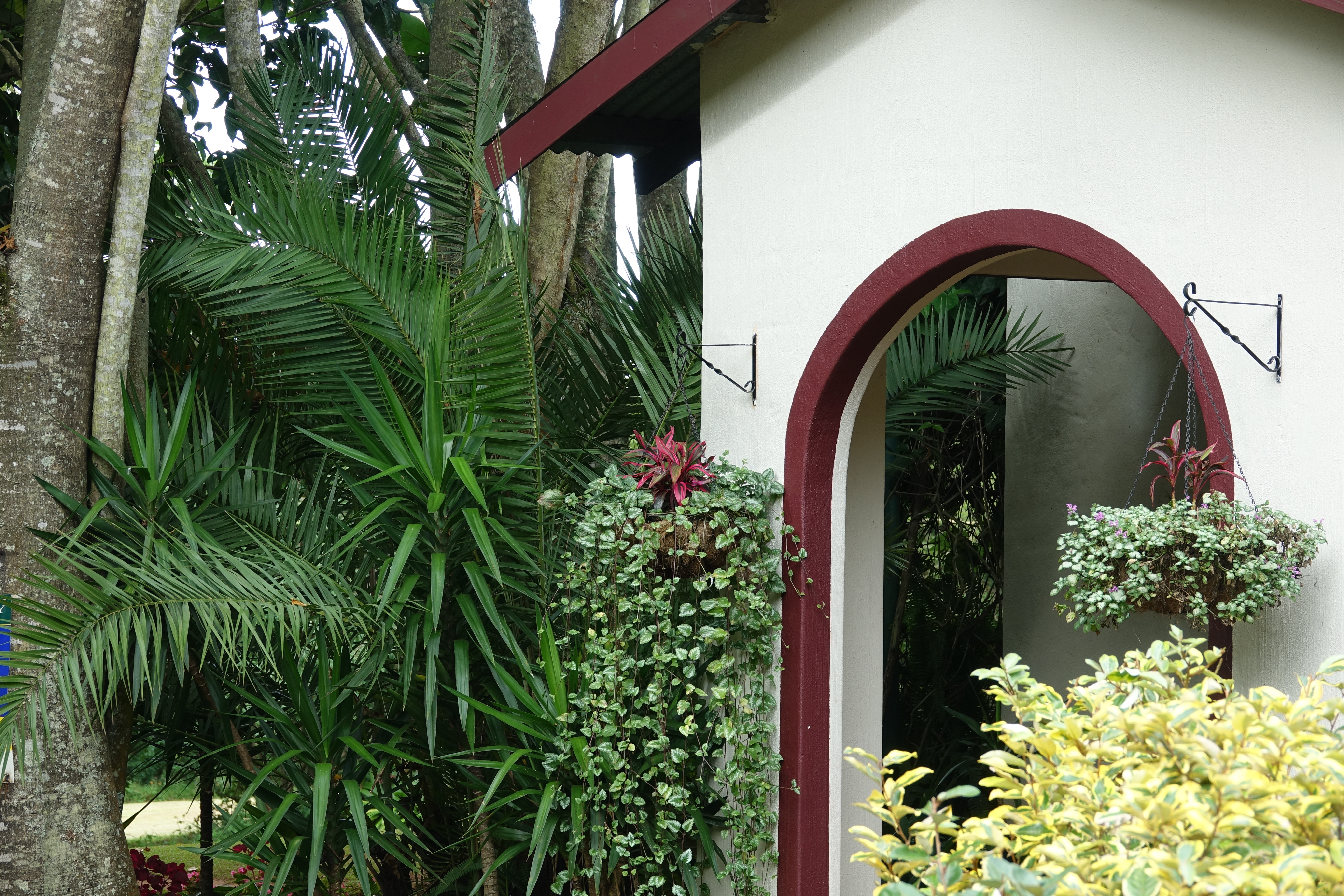 Entry to building with palms in front